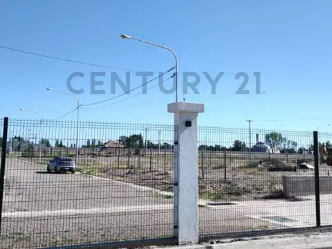 Terreno en Venta 33  mts Fondo