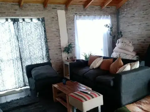 Palmeras 100