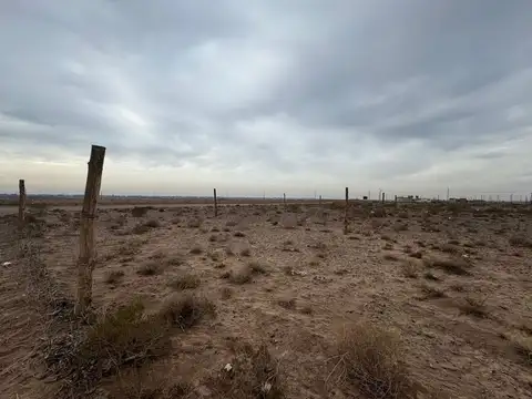 Carlos Saavedra Lamas s/n