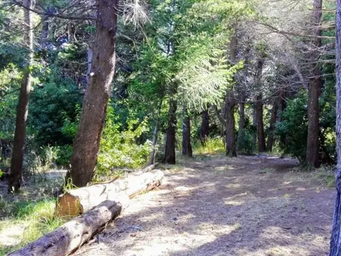 Terreno en Venta en San Carlos De Bariloche, USD 280.000