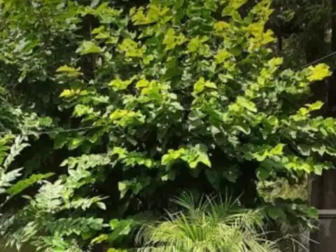 Casa en Venta en Baradero, USD 50.000