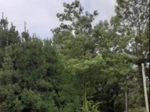 Casa en Venta 60 años