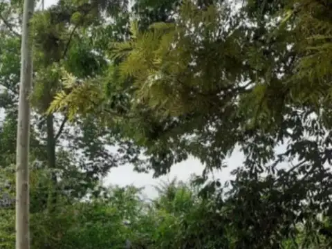 Casa 2 ambientes con 1 baño