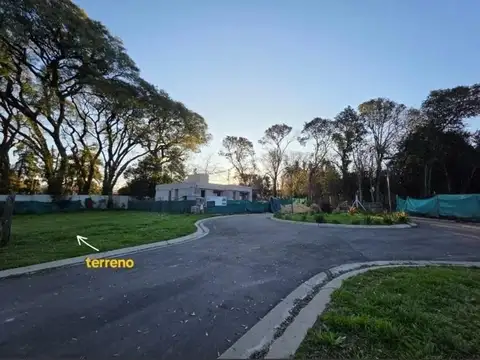 Atardeceres Del Talar