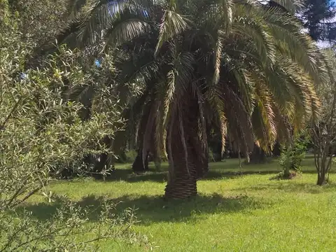 Lote en venta con financiación, sin expensas, calles, arboleda añeja, luz, subdivision