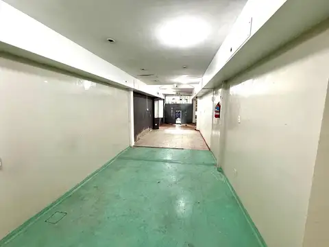 Forest al 300 - 55m2