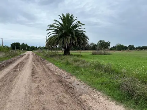 LOTES EN CHASCOMUS EN CASCO URBANO IDEAL INVERSION