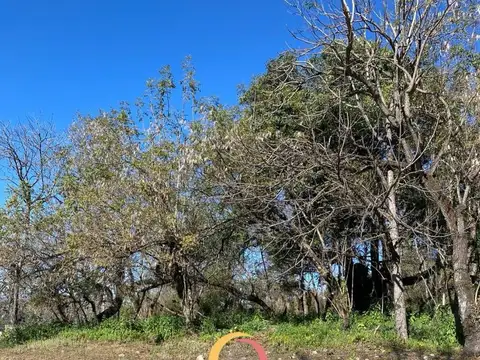 Terreno en Venta 20  mts Frente