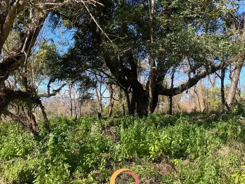 Vertientes, Vaqueros