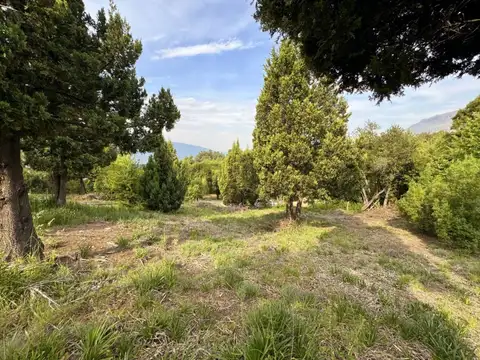 Venta terreno san martin de los andes . los riscos