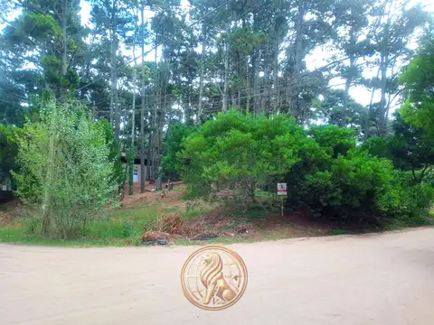 Calle 36 y Calle Necochea