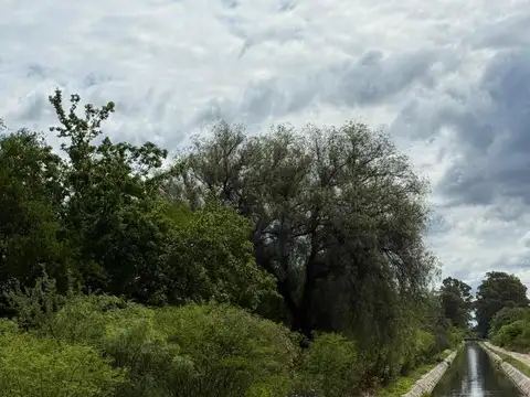 CAMPO EN VENTA - CRUZ DEL EJE