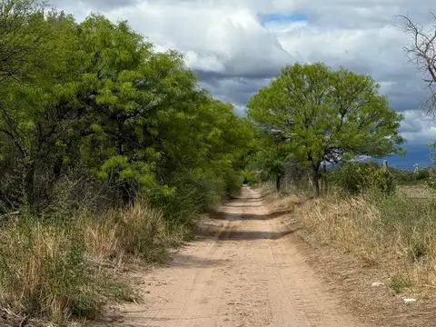 Callejon De Los Araoz