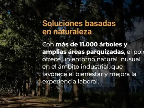 Terreno en Venta en Polo Industrial Ezeiza, USD 350.000