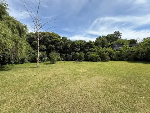 SARAVI Y LA GARZA 3000