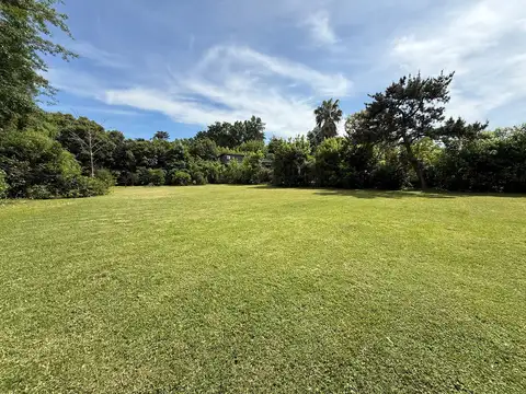 SARAVI Y LA GARZA 3000