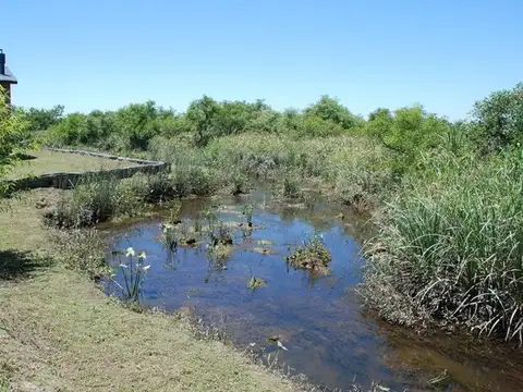 Arroyo Malvinas 100