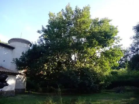 Quinta en venta - 3 Dormitorios 2 Baños - General Rodríguez