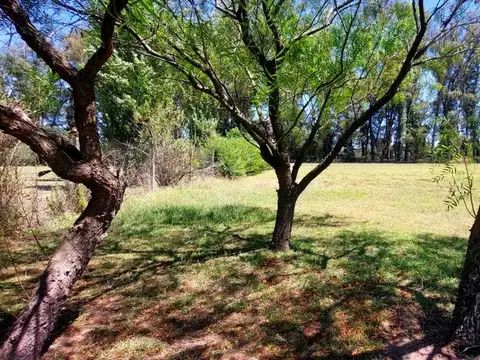 beschtedt y Ruta 34 100