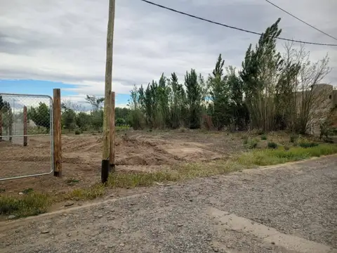 Terreno en Venta 12  mts Fondo