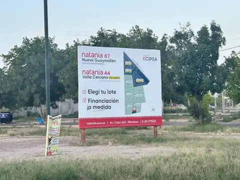 publica 29 100