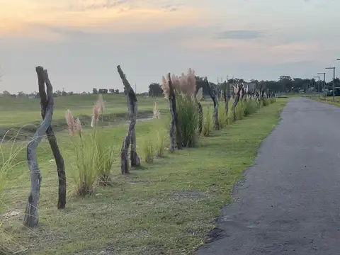 Terreno en Venta 40  mts Fondo