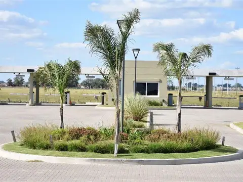 Calle S/n 1200