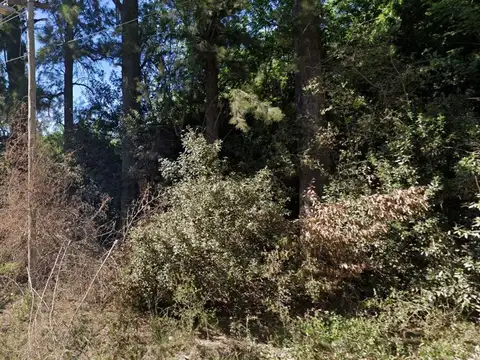 Terreno en Venta de 3014,0 m2