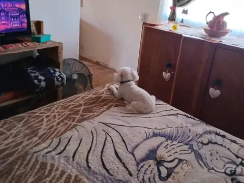 Casa en venta - 3 Dormitorios 2 Baños - Galpón - 203Mts2 - Santa Clara del Mar