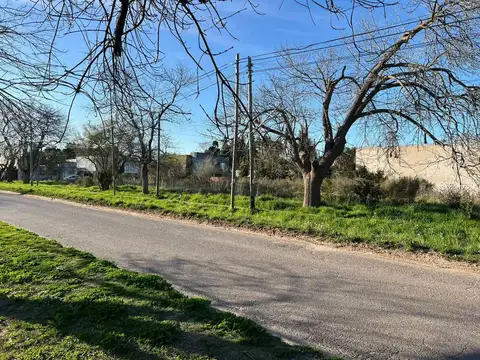 Terreno en Manuel B Gonnet