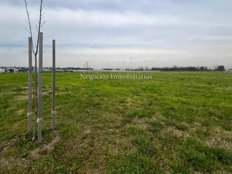 Gral. Hornos Lote / N° 2800