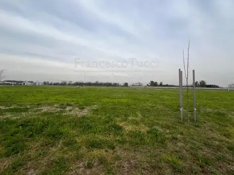 Terreno en Venta de 834,0 m2