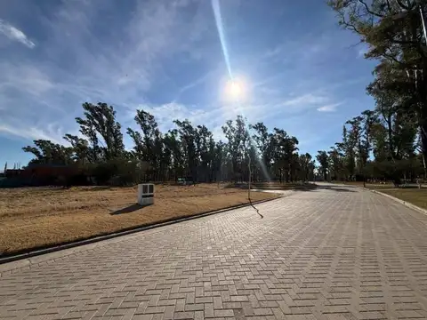 VENTA LOTE EN NUEVO MALAGUEÑO 338M2