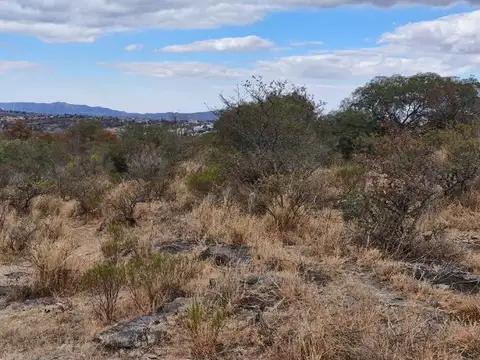 TERRENO 16 HECTAREAS CON BAJADA AL RIO TANTI NUEVO