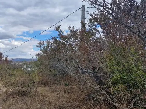 Terreno en Venta de 160000,0 m2