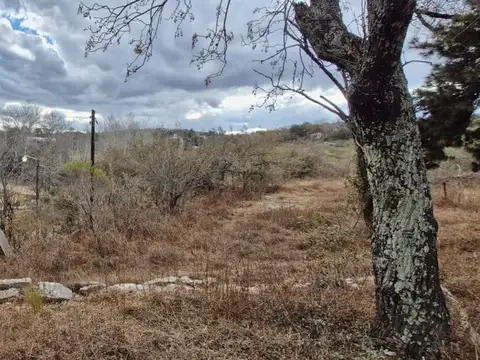 TANTI NUEVO