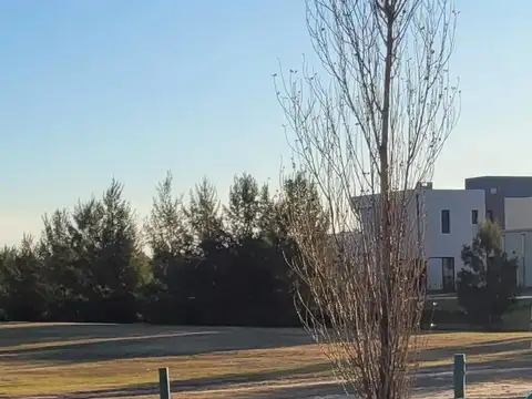 Terreno en Venta de 781,0 m2