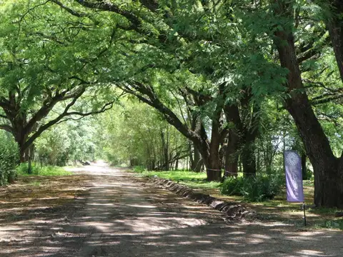 Terreno en Venta en Zona Centro, USD 37.000