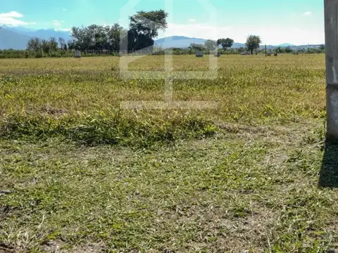 VENDO TERRENO EN LA VERBENA