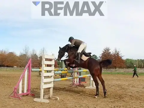 OPORTUNIDAD CARDALES CLUB CAMPO FINCAS EXCLUSIVAS