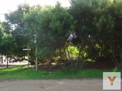 28 e/ Copacabana y Viña del Mar