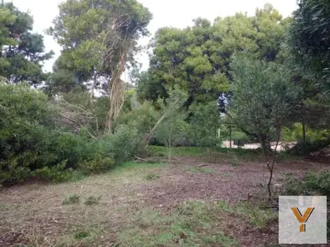 Terreno en Venta de 1245,0 m2