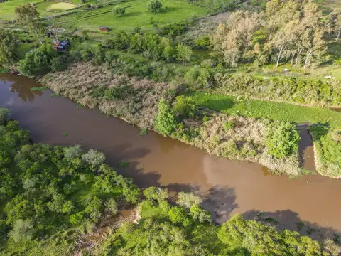 Complejo Alto Pecán