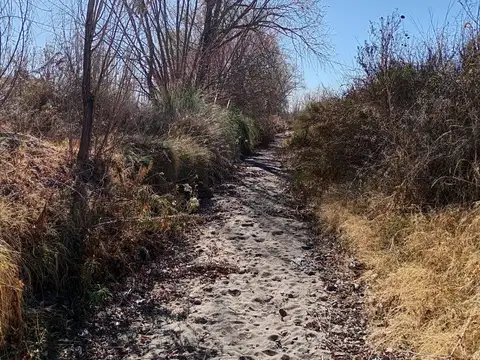Modesto Encinas S/N