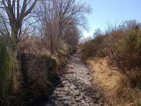FINCA EN VENTA VALLE DE UCO NOGALES, FORRAJERIA