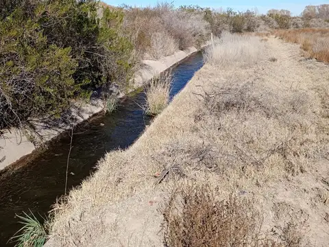FINCA EN VENTA VALLE DE UCO NOGALES, FORRAJERIA