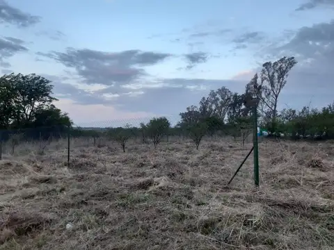 Terreno en Venta de 925,0 m2