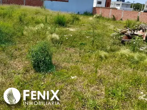 Terreno en Venta 26  mts Fondo