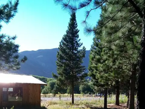 CONFIDENCIAL - BI683268