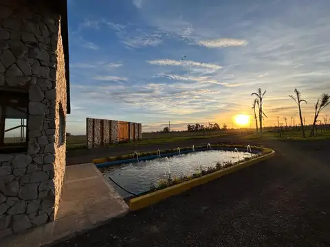 Lote en venta – 300 m² | Reserva del Oeste – Etapa 2